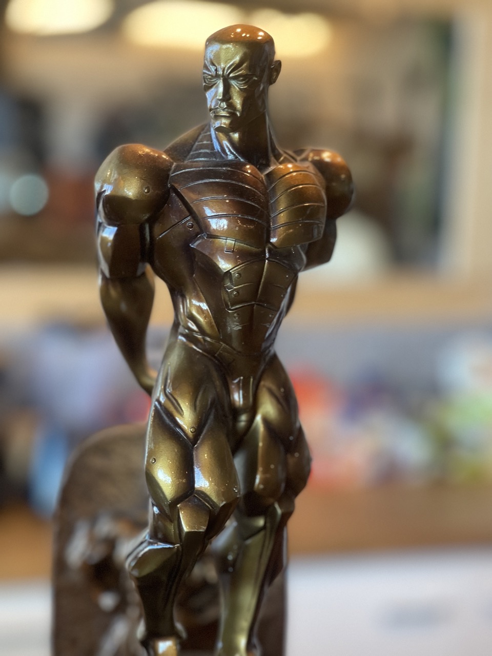 Nos coachs récompensés niveau international de fitness et bodybuilding
