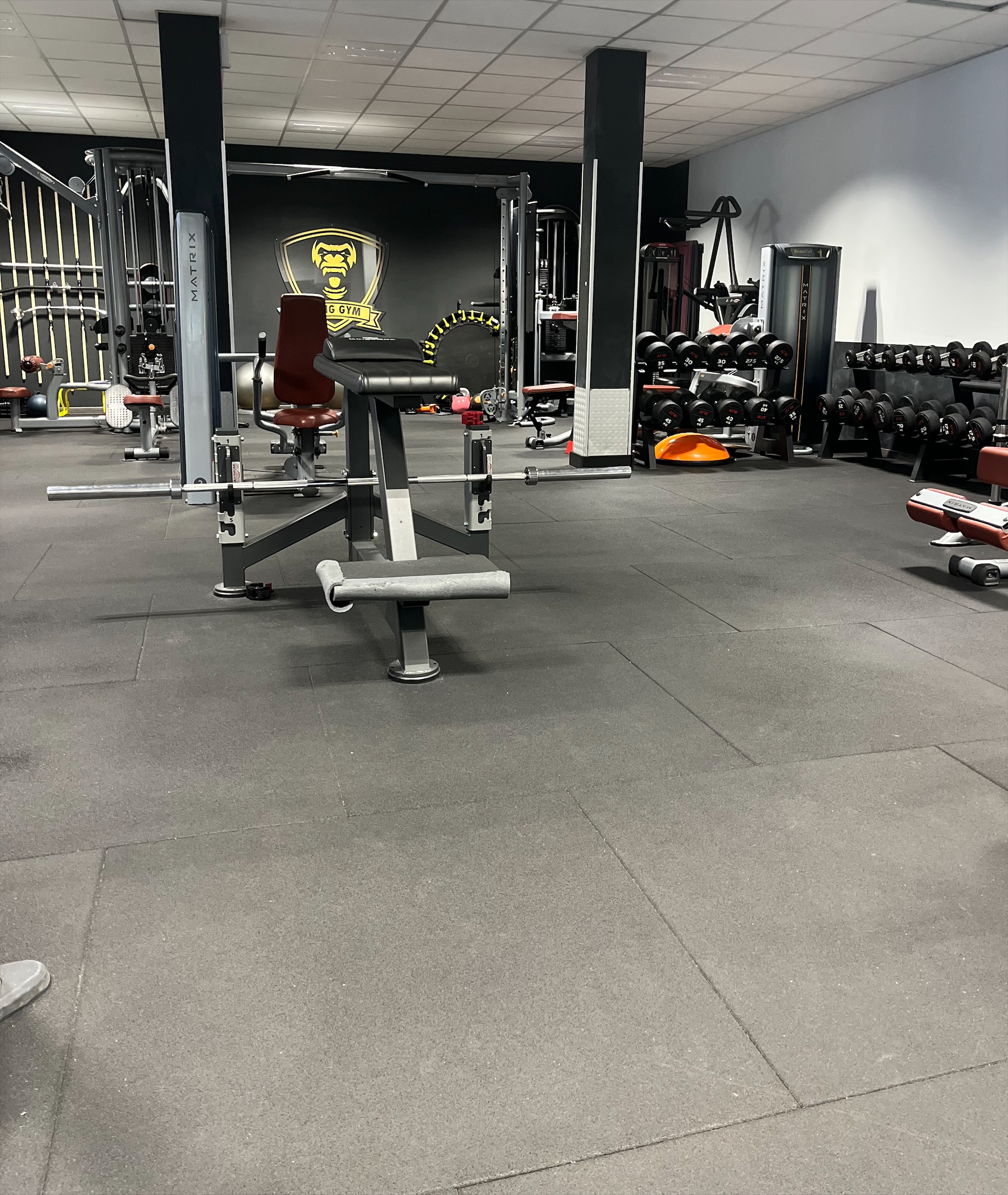 Espace Musculation