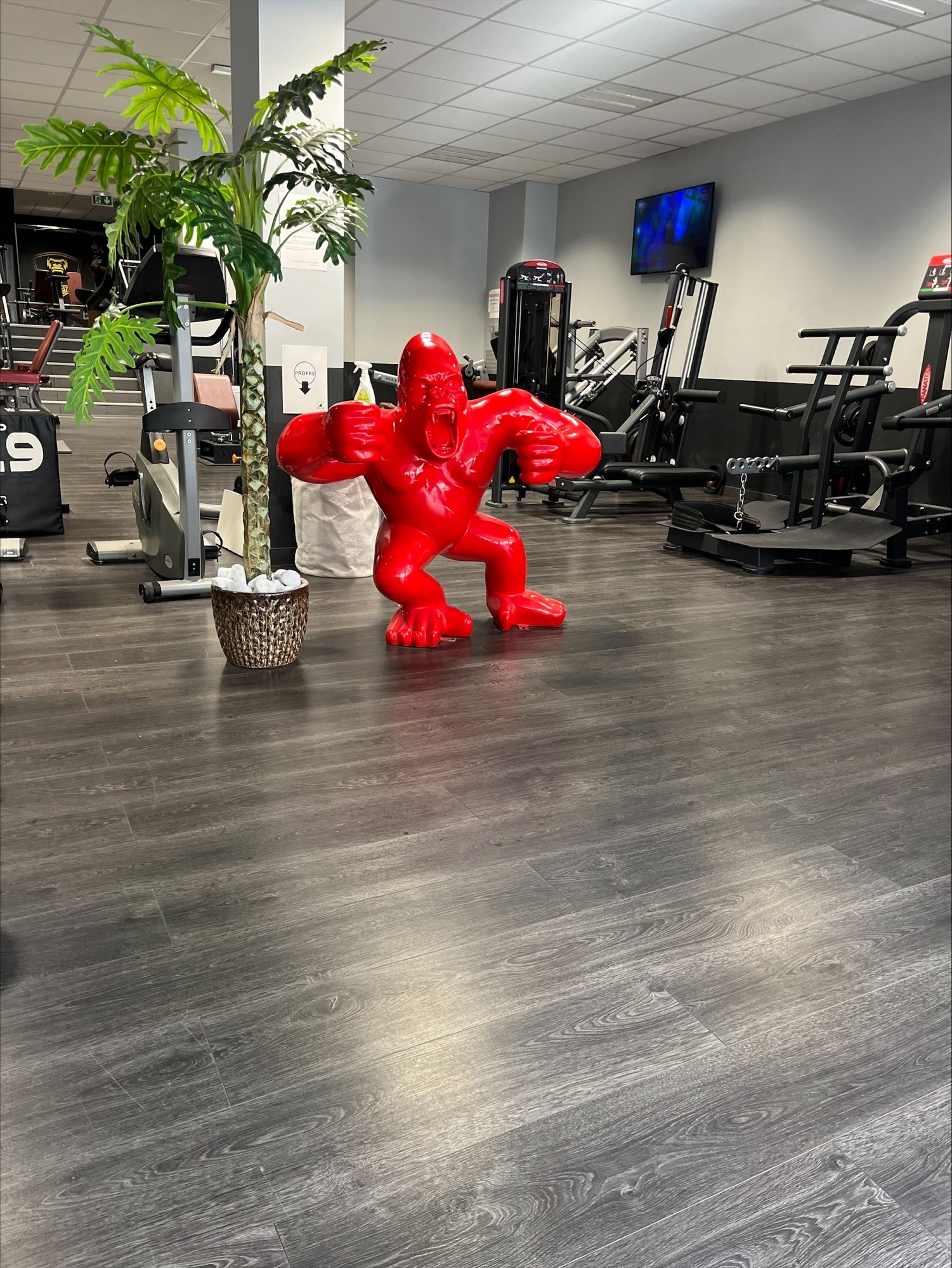 Kong, toujours là pour vous accueillir